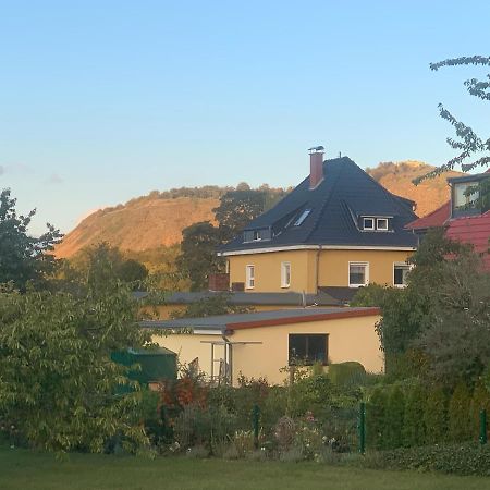 Ferienwohnung Bleicherode 外观 照片