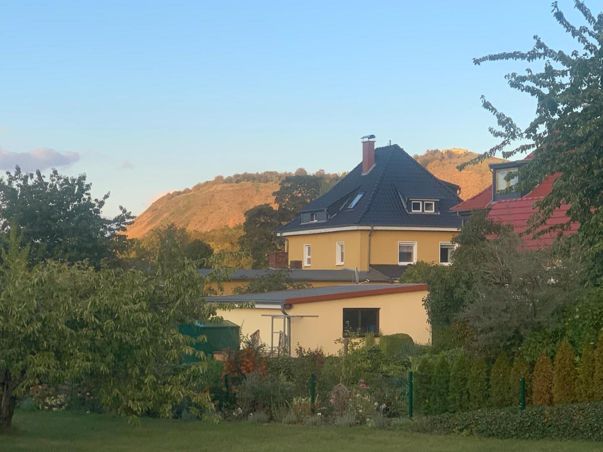 Ferienwohnung Bleicherode 外观 照片
